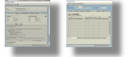 SAP Security Support